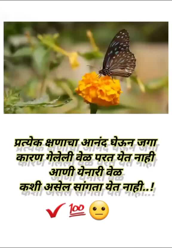 @Shubham Sonune