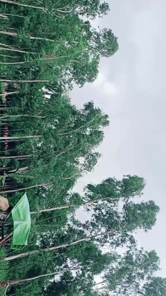 @Asshu srivastava