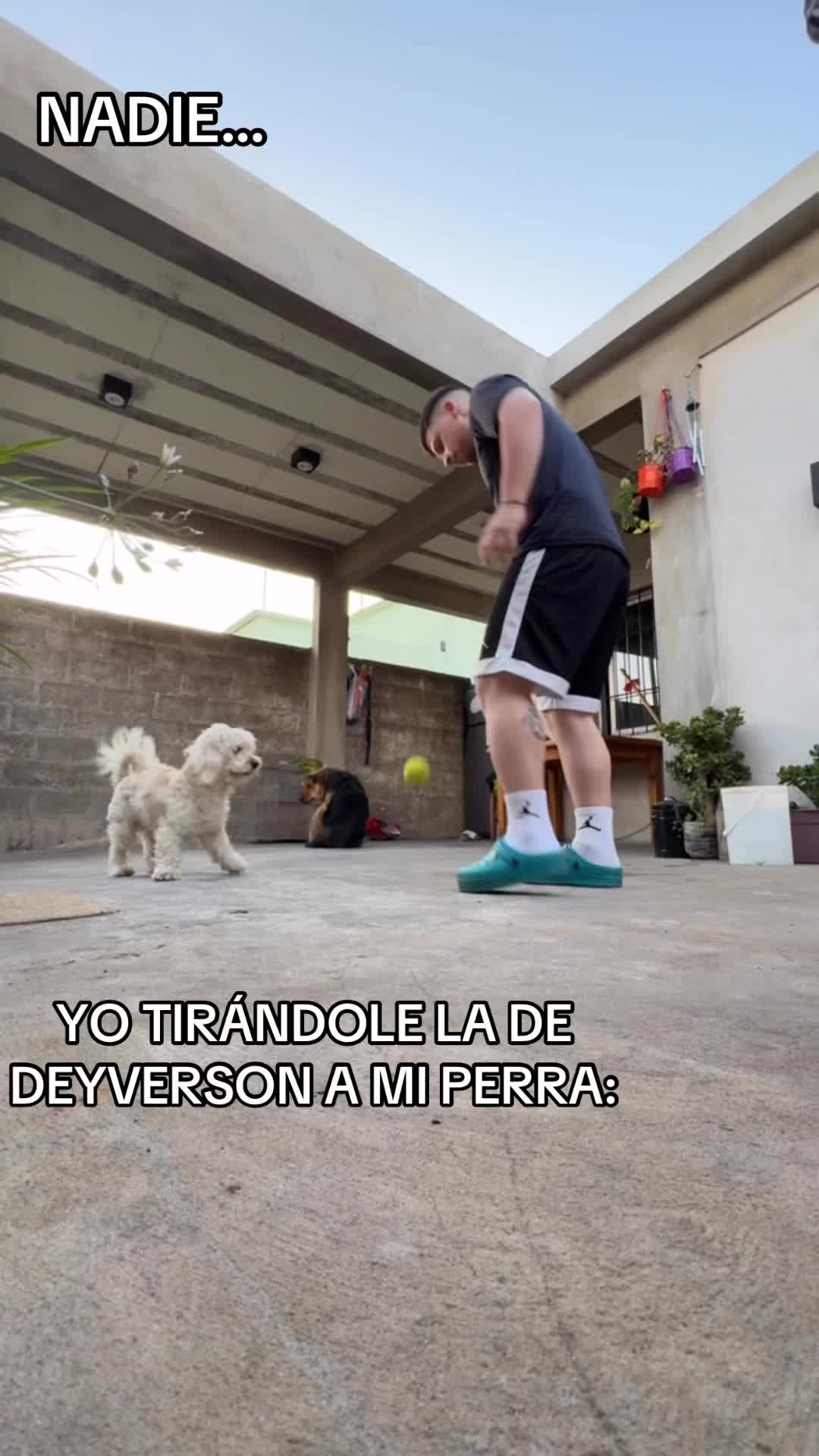 @Franco Santamaria 