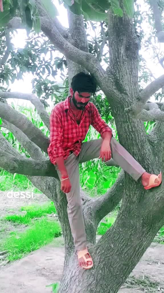 @Rakeshkumaruser5931