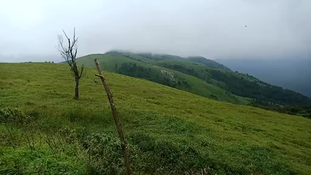 @chandar kurubas