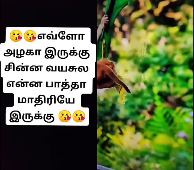 @user4593056788885