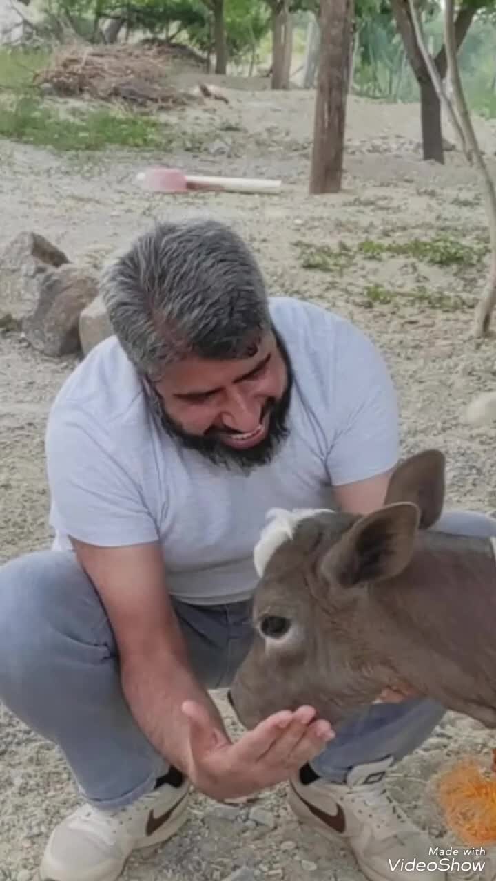 @44❤️P&uuml;t&uuml;rgelim ❤️44