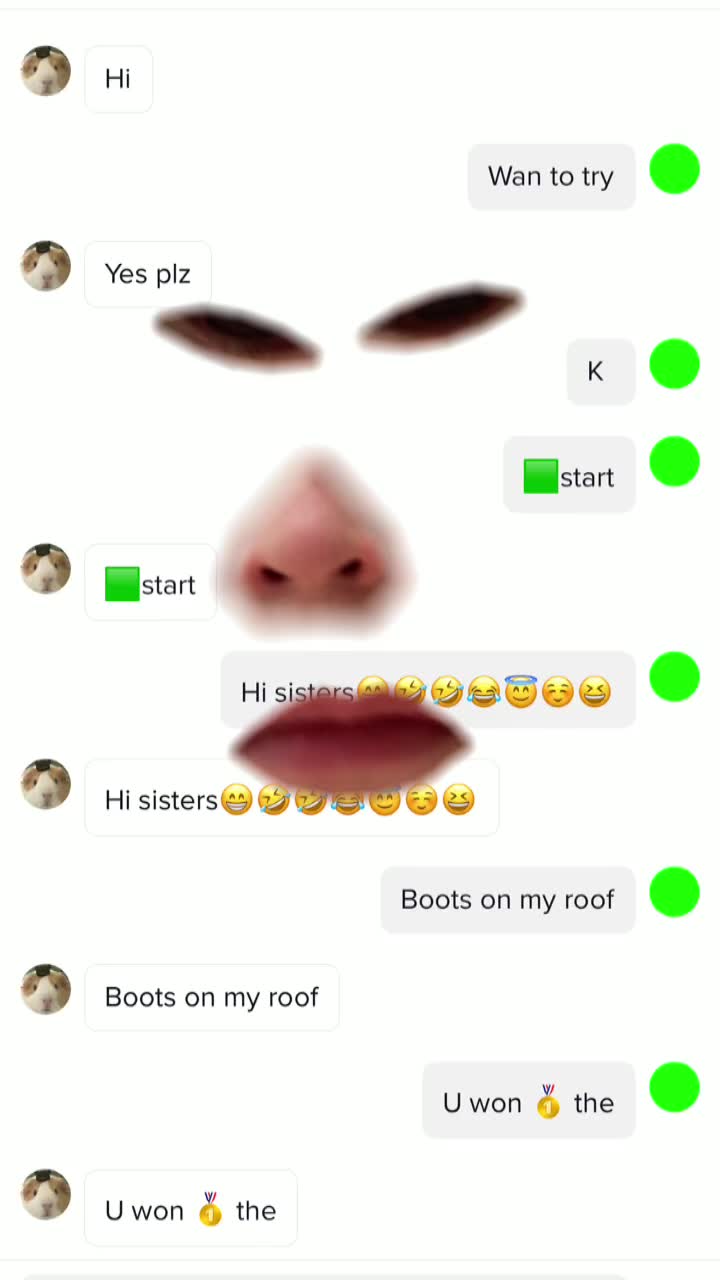 @memebros21