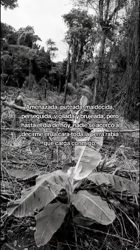 @Encontraste lo que buscabas😜
