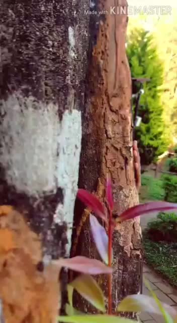 @lakshmiksurendran