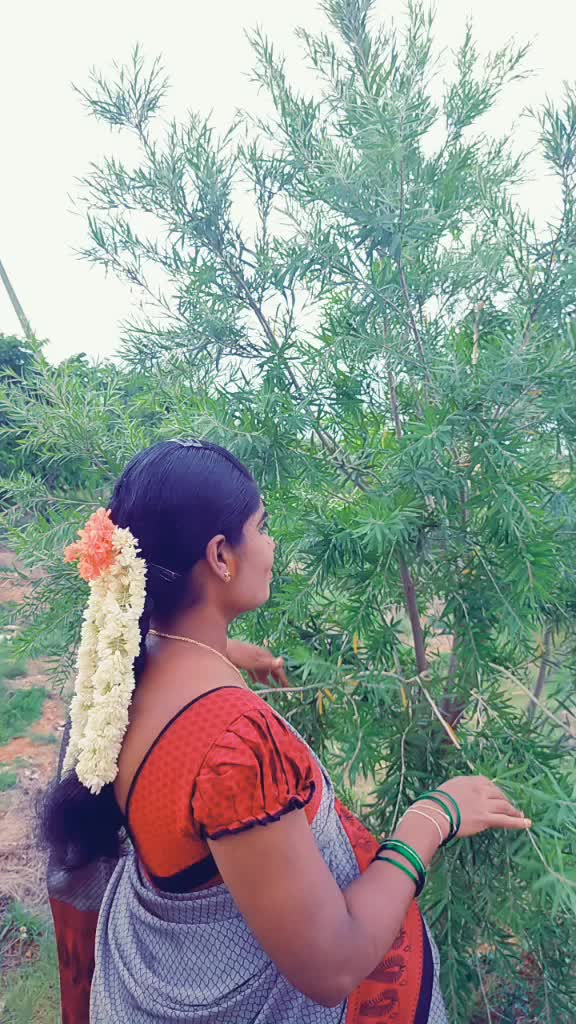 @ravi@14