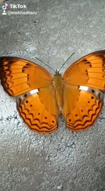 @user40914930795