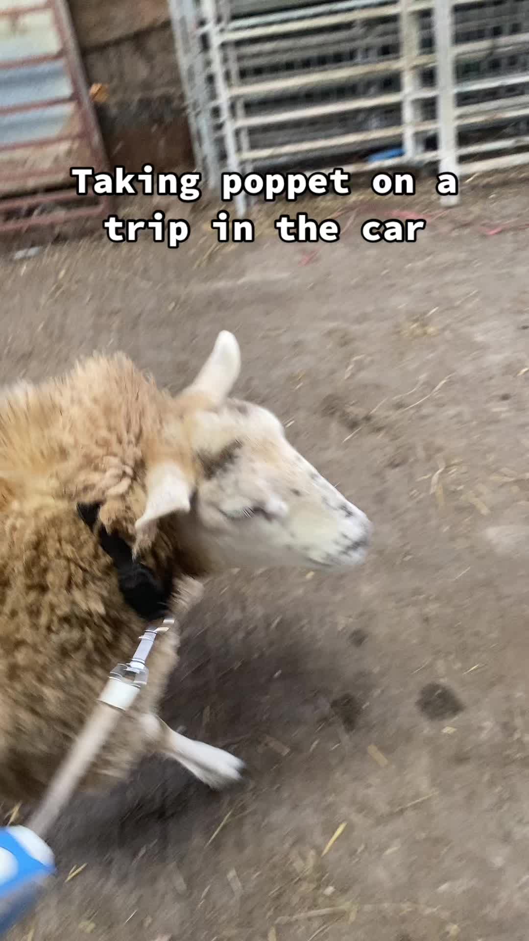 @Farming7744