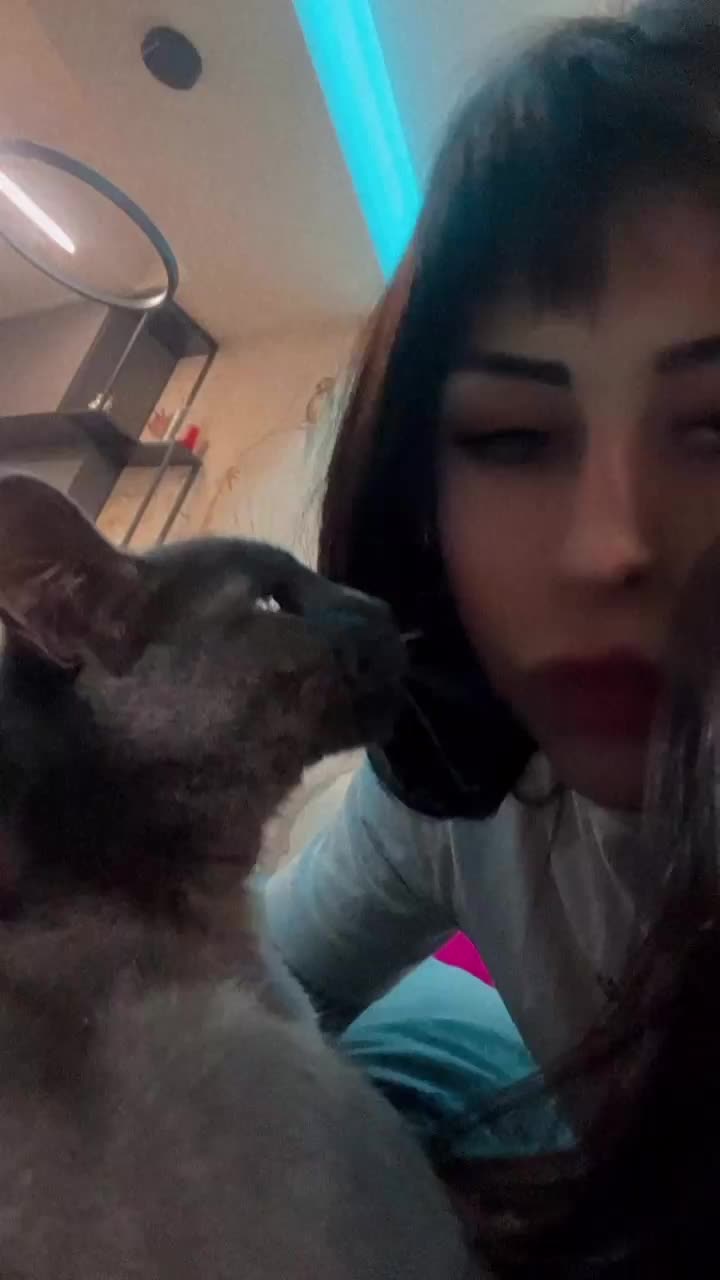 @andjeo.snova_98