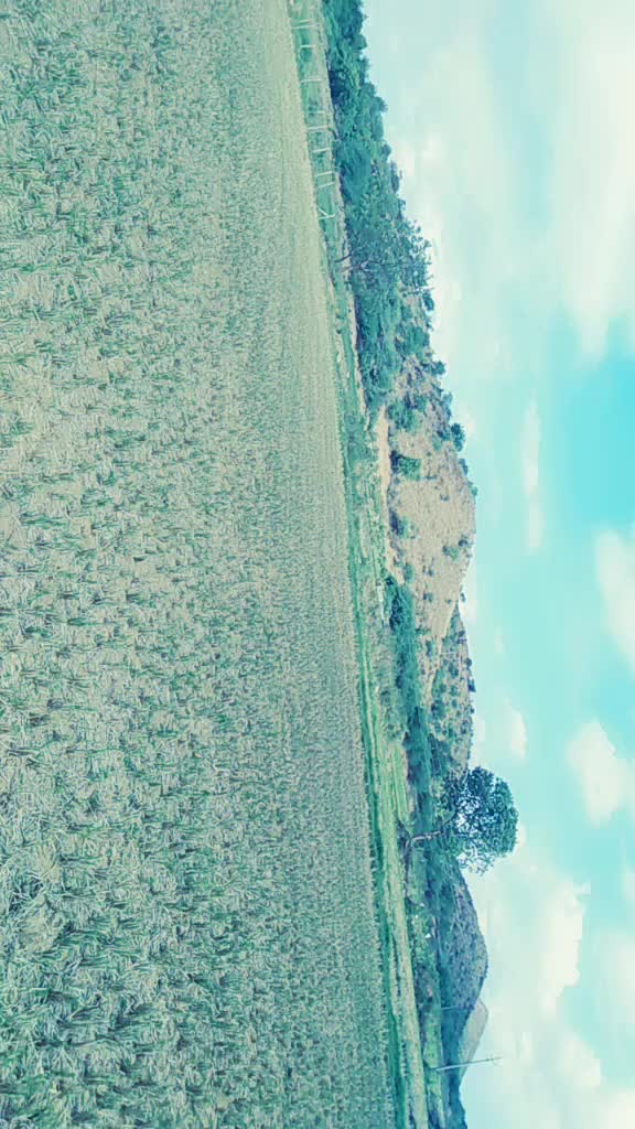 @VasanthRøyaļ