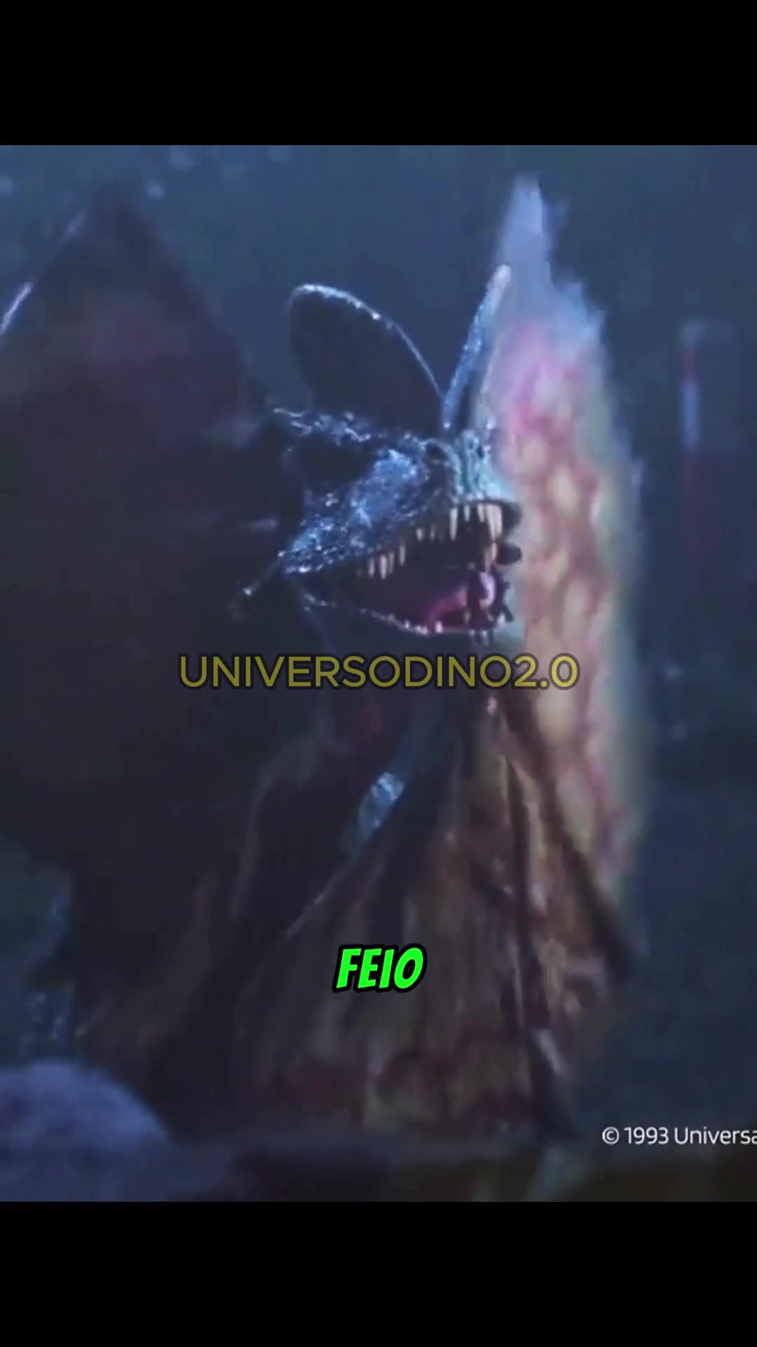 @UNIVERSODINO