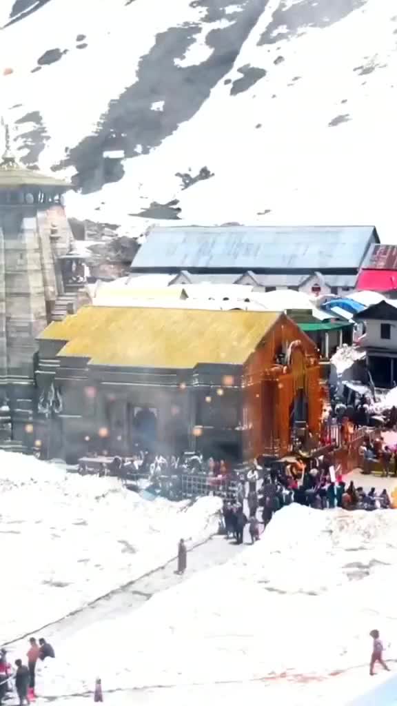 @jayshukla161