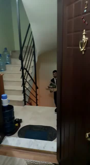 @elanur_