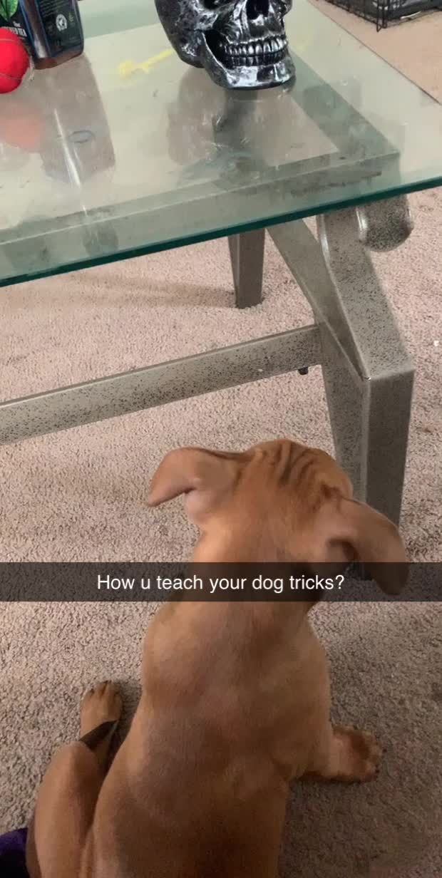 @Josiah “twitch” Oliver-Ross