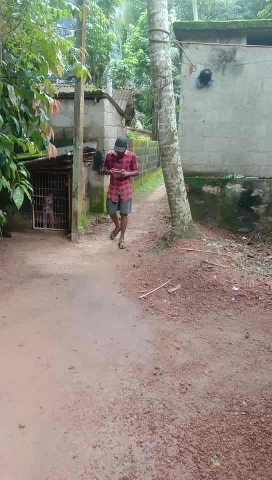 @IPS രാക്ഷസൻ
