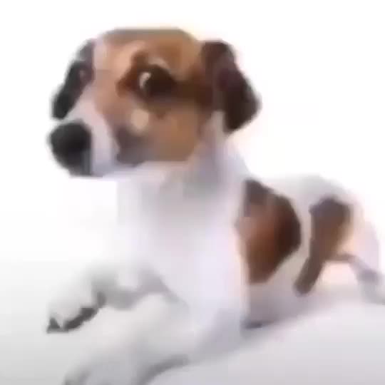 @Danjarel