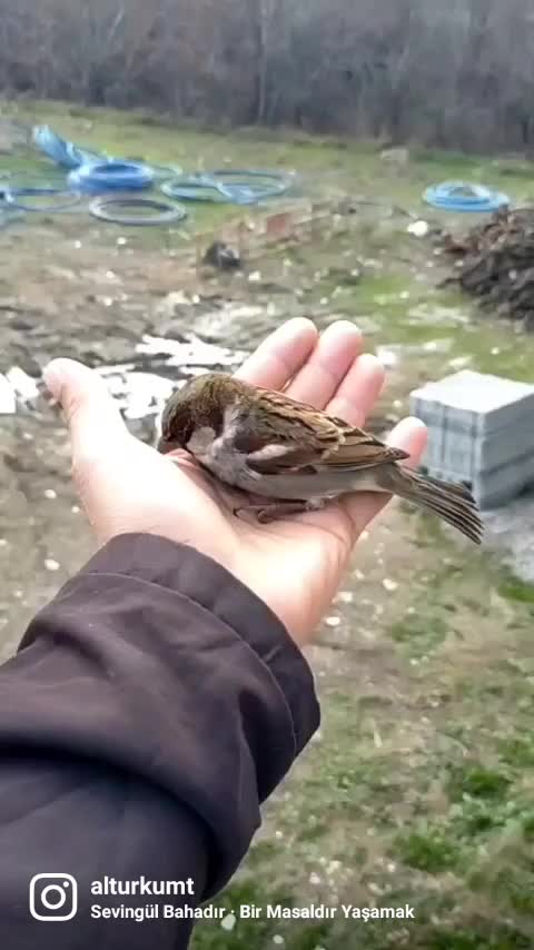 @ÜMİT
