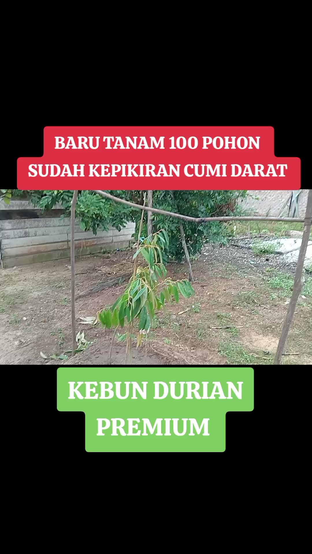 @PEJUANG keluarga ❤️
