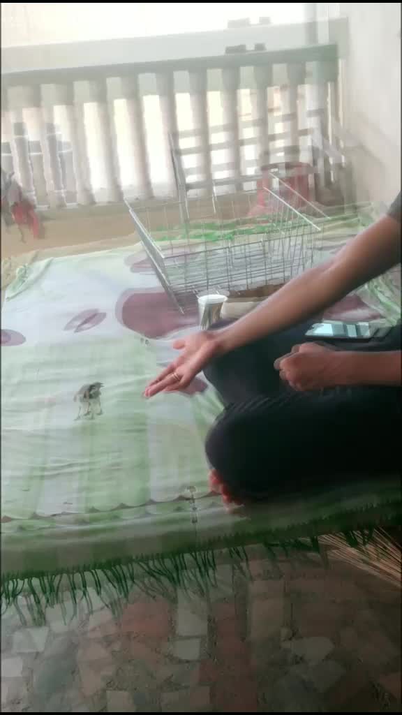 @Ritu jhajhariya