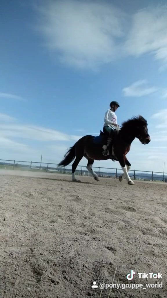 @Pony.gruppe❤️✨