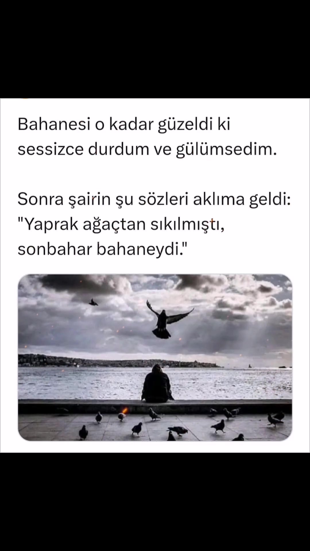 @Rıza Özçelik