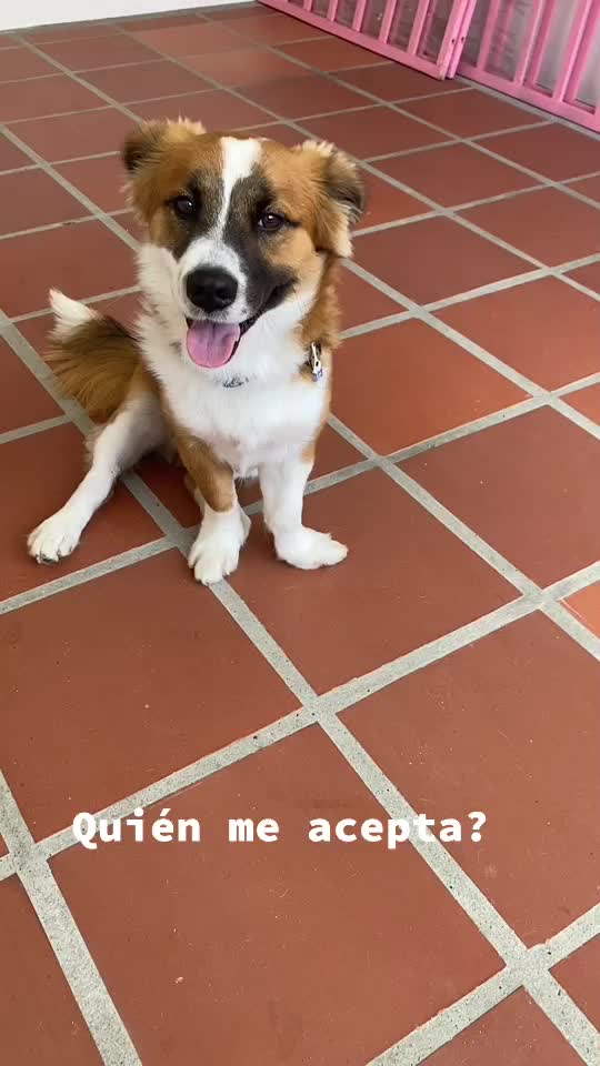 @SAM 🐾🦴