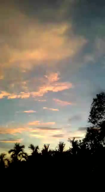 @chasame.k.sangma
