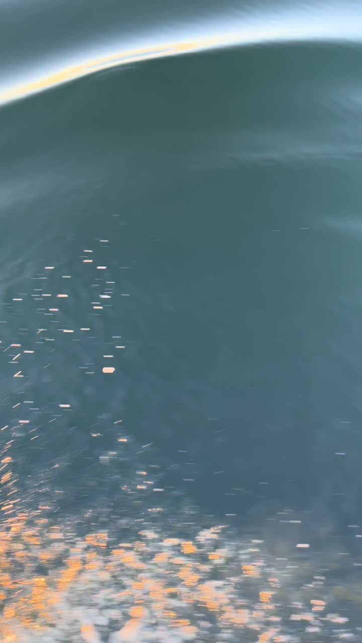 @nottammy