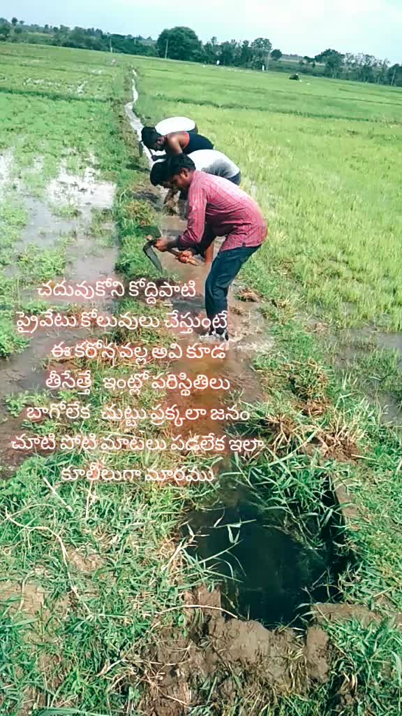 @మడుపల్లి రామారావు