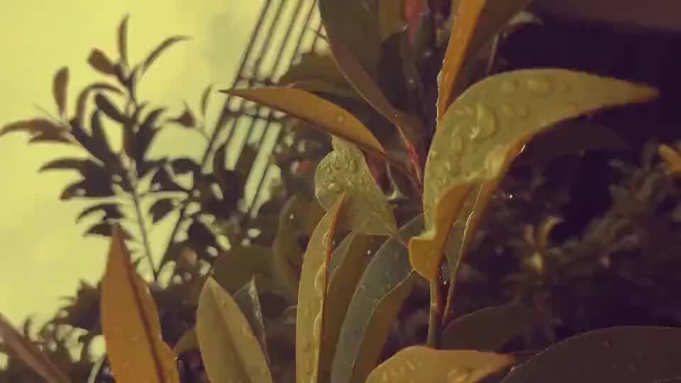 @๐โโโโ๐ โโโโฃโ ๐ฅ