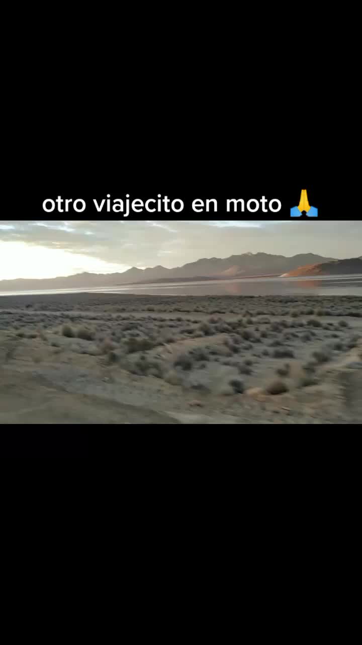 @Melissa Motta