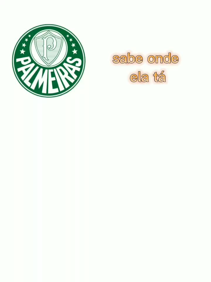 @Palmeirante&trade;