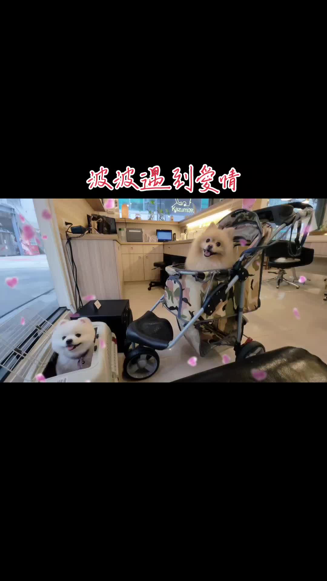 @Leo▪︎ Huang☆