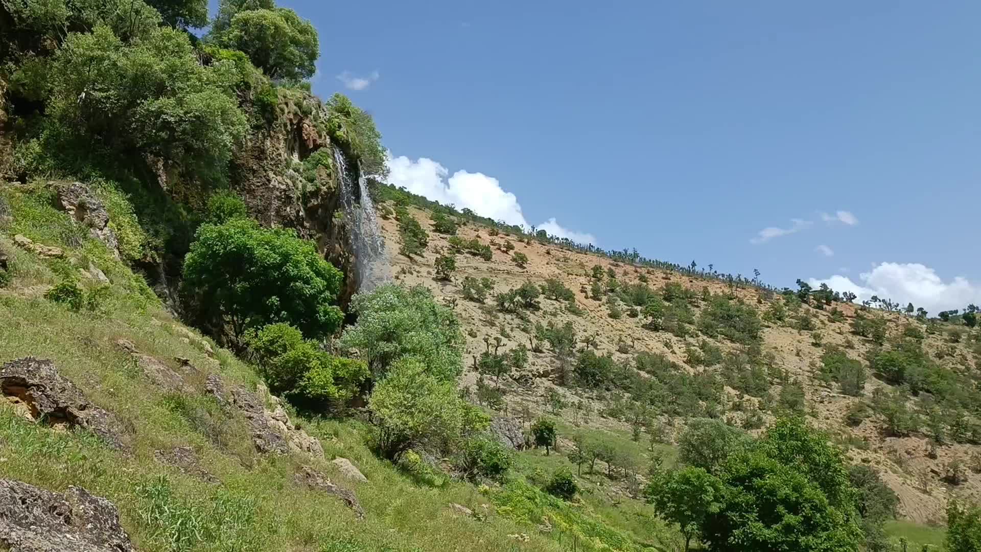 @ferhat1223