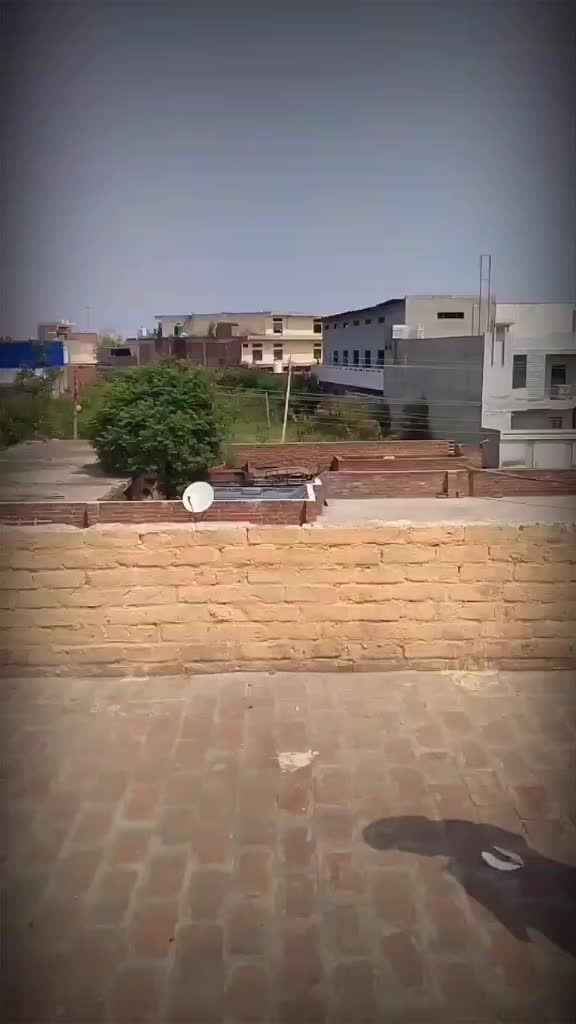 @MehraSaab