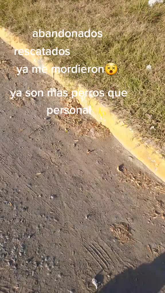 @Mil🇲🇽🇺🇸