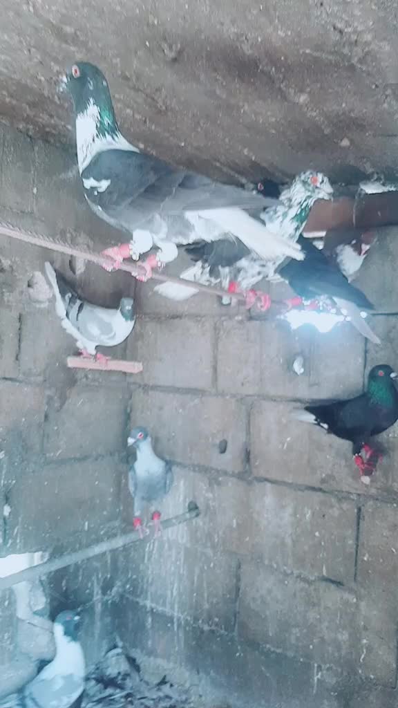 @عبدالرزاق اكتع
