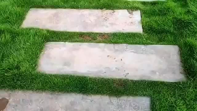 @Mahee