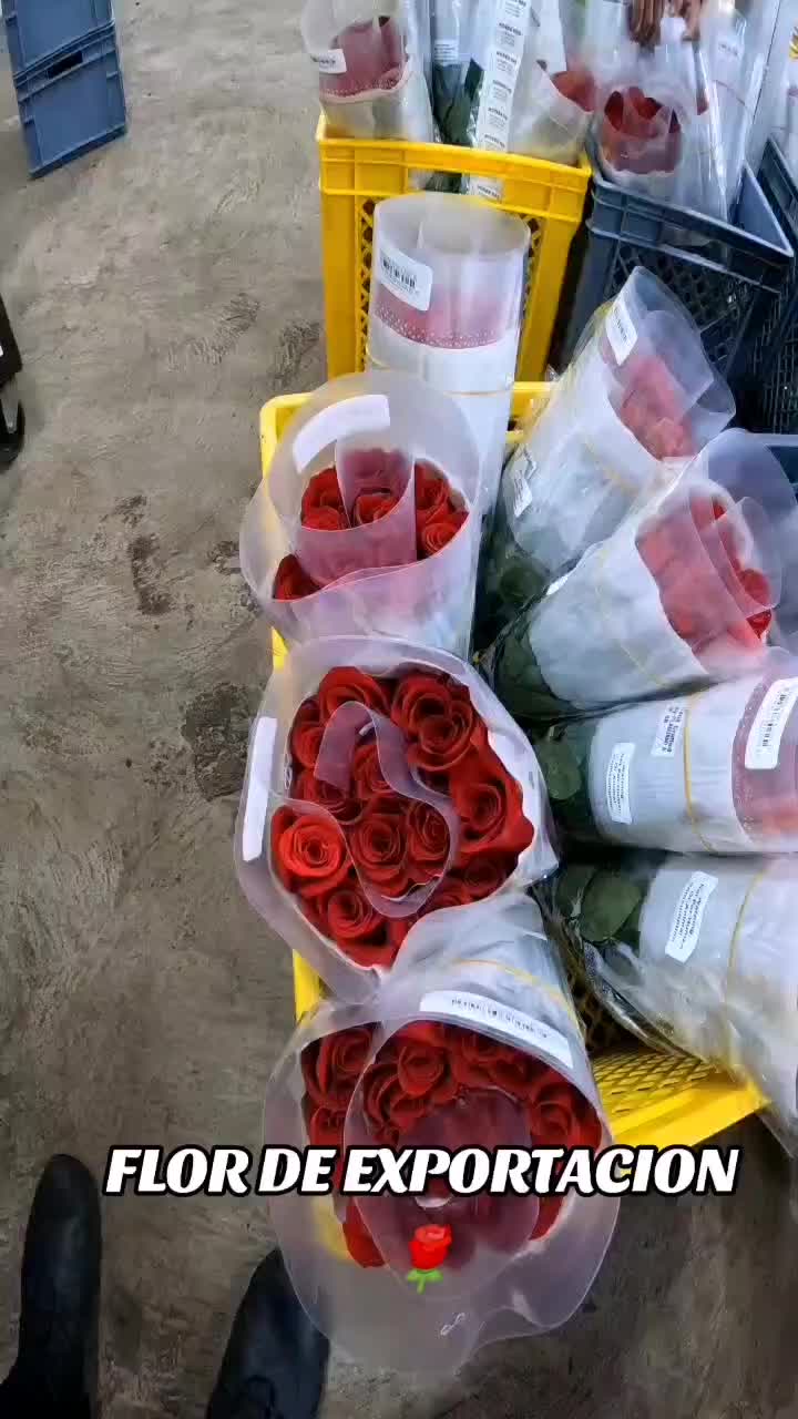 @@> ❣