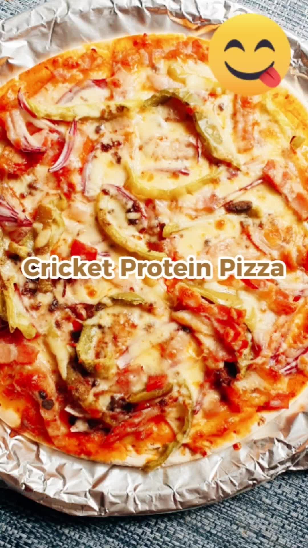 @proteincricket