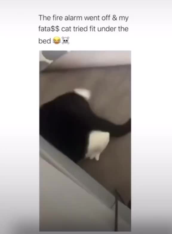 @Reposting591