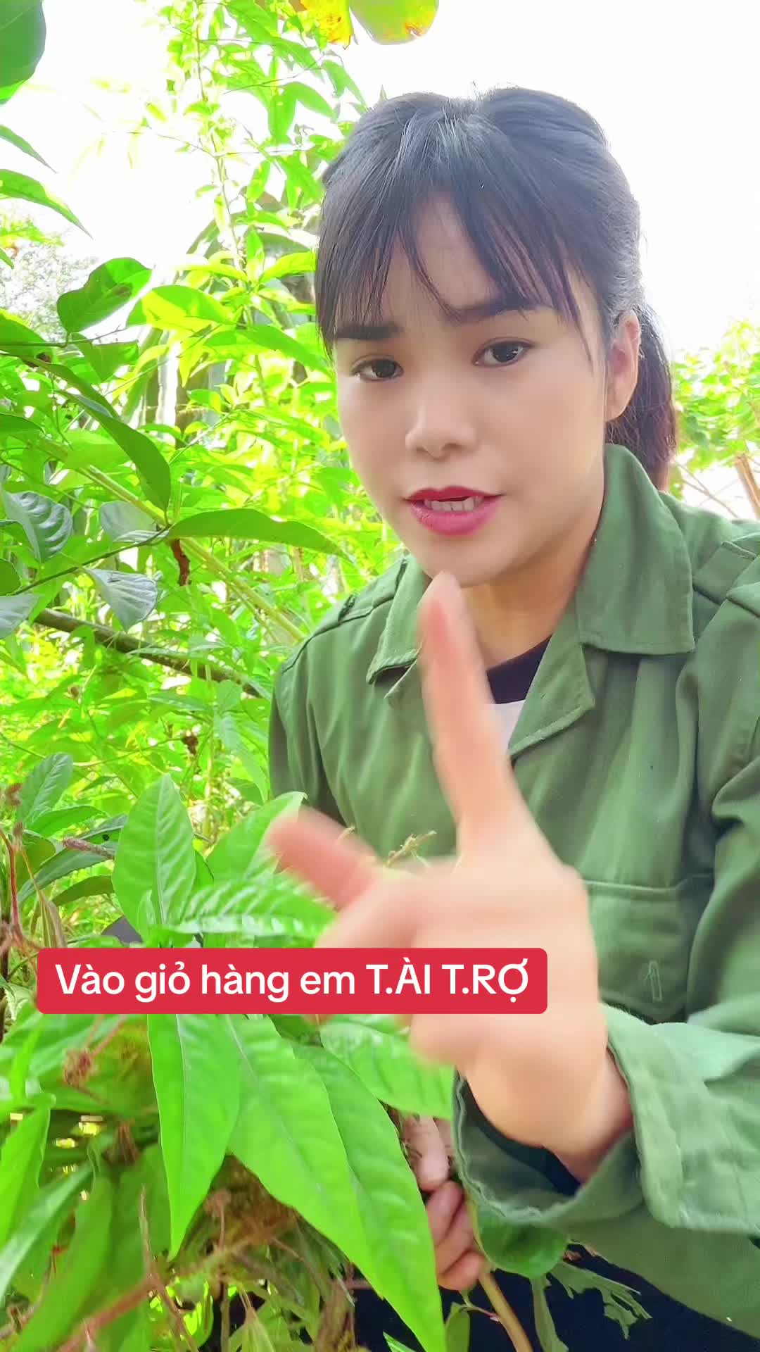 @Ngọc Chinh Miền N&uacute;i