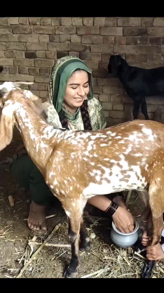 @AlizaSeharVlogs