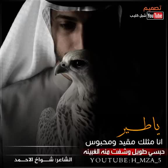 @المصمم شبل كليب