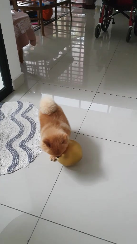 @๐๐๐ช๐๐๐๐โ๐ ๐&๐๐ฆ๐