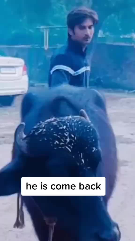 @user66848599538