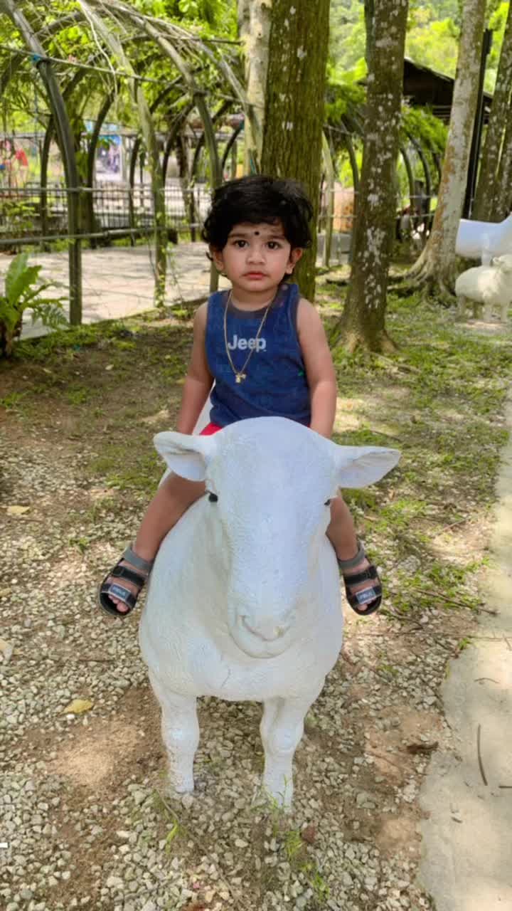 @🐾〰️ Pushpadevi〰️🐾