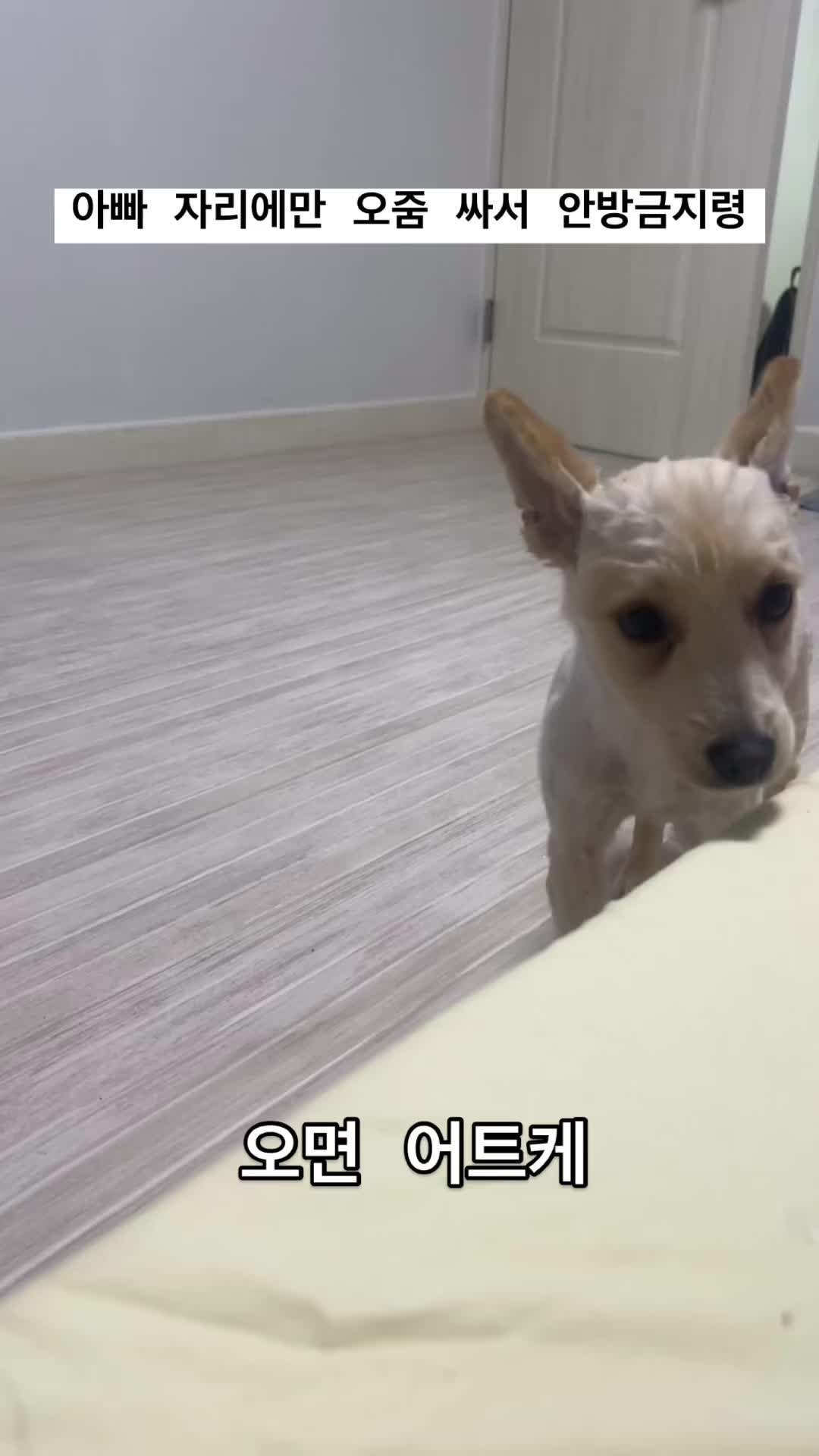 @์ฉ