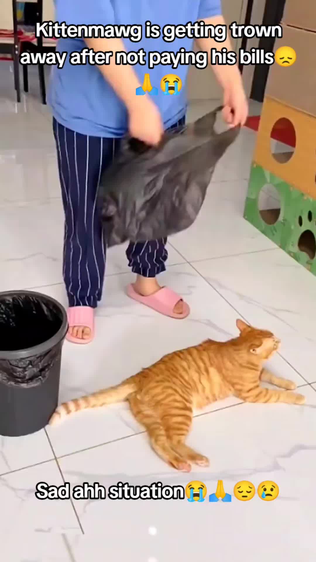 @donpollo2982